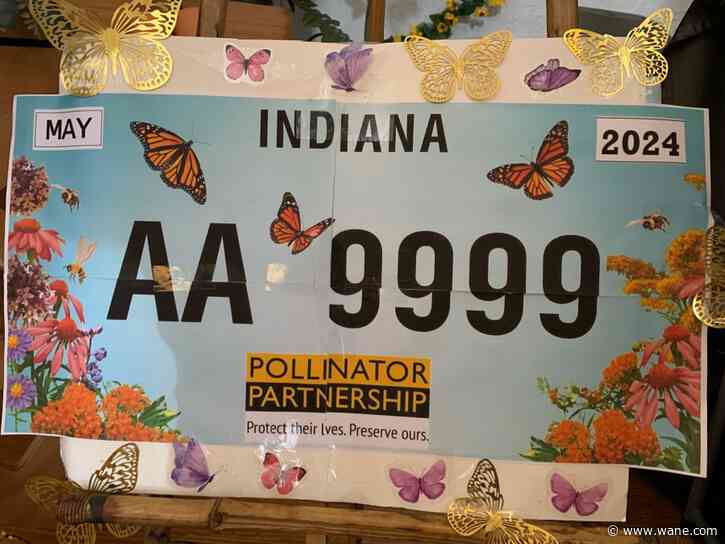 'There's a ripple effect': Proposed Indiana license plate could raise money and awareness for pollinators