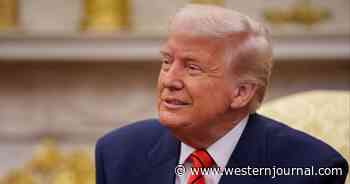 Watch: Trump Reveals the 1 Thing He Admires About Biden and It's a Doozy