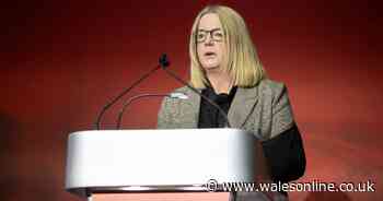 Abi Tierney faced the music - but the numbers in Welsh rugby just don't add up