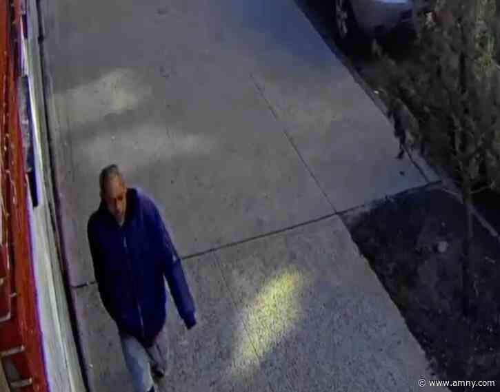 Bronx brute breaks woman’s nose in unprovoked random attack: cops