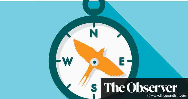 ‘They have no one to follow’: how migrating birds use quantum mechanics to navigate