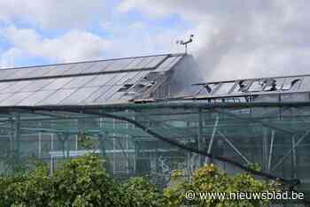 Brand treft opslagplaats achter leegstaande siervissenzaak: “Alle vissen hebben het overleefd”