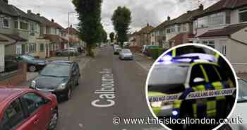 'Aggressive' fight in Elm Park sees three teens arrested and two rushed to hospital