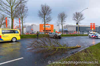 Auto vliegt uit de bocht op Westenholterallee