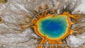 Gefrorene Zeitkapsel: Forscher finden Tausende Jahre alten Wald