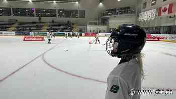 Winnipeg girls work their hockey skills on the ice with Boston PWHL player