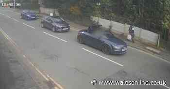 Brazen killer struggled down street with shopping bag filled with a gruesome cargo