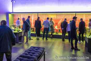 Nieuwe expo belicht succesvol Belgisch schoendesign: “Bezoekers zullen grote ogen trekken”