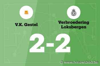 Gestel beëindigt reeks nederlagen met gelijkspel tegen Loksbergen