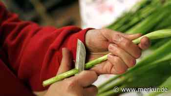 Sollten wir Blumen immer schräg anschneiden?