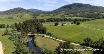 Top quality coastal Wagyu breeding country offers significant opportunity