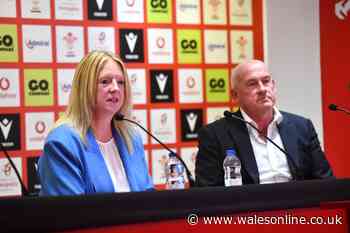 Welsh Rugby's next appointment isn't as important as you might think