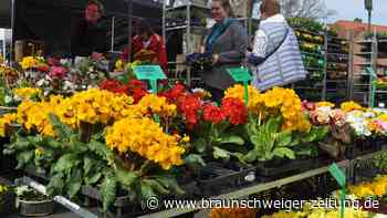 Hier sind die schönsten Fotos vom Ostermarkt in Müden