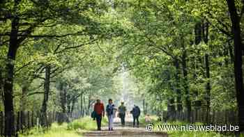 ANB vraagt mening burgers over toegankelijkheid transversaal Groot Schietveld, afgelopen weekend dicht omwille van brandveiligheid