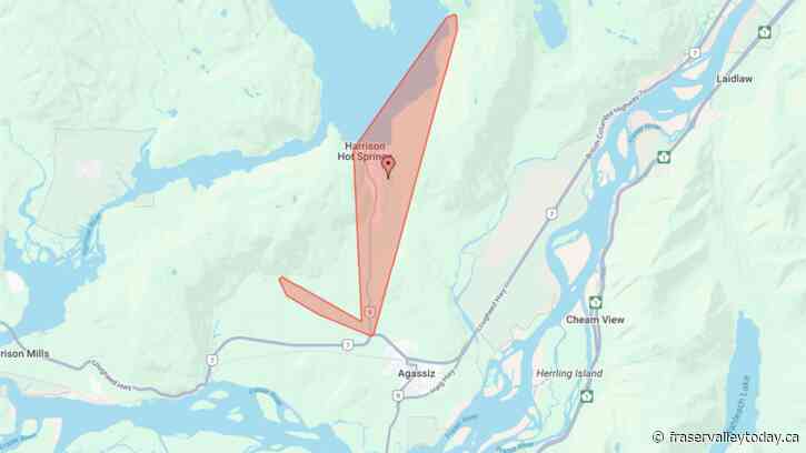 Downed tree causes major power outage near Harrison Sunday