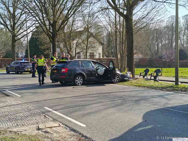 Automobilist botst tegen boom bij Harendermolen