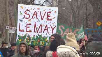 More than 100 people march in Winnipeg in continued fight to save Lemay Forest