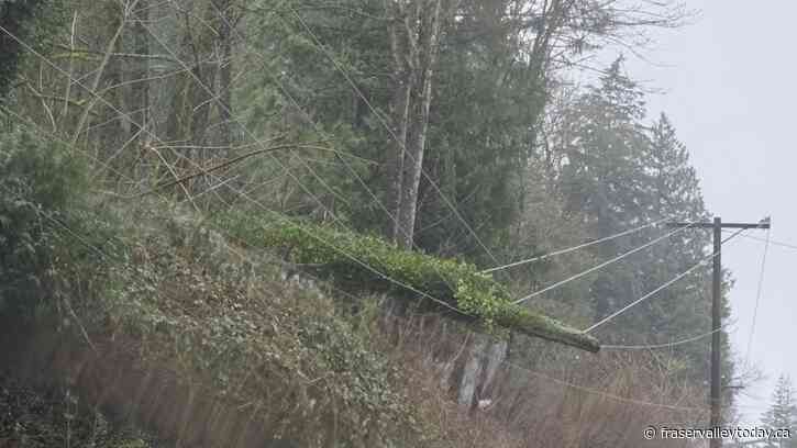 Update: Downed tree causes major power outage near Harrison Sunday