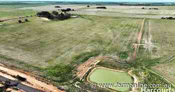 Welcome drop of rain on the eve of successful Dimboola auction