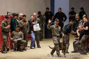 4-legged competitors show off skills during annual Metro Police K-9 Trials — PHOTOS