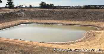 Recent rainfall provides a "head start" to the season for Jingalup farmer
