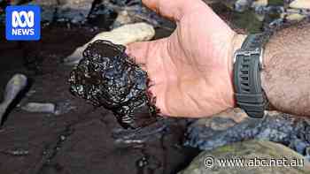 Coal miner Peabody to pay $500,000 for polluting Royal National Park