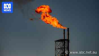 Gas giants could be forced to divert supply to Australia