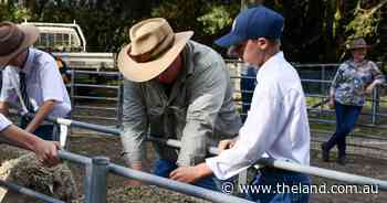See who was out and about at the 2025 Southern Tablelands flock ewe championship