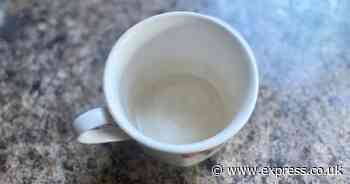 Bleach didn’t remove the brown tea stains from my cup but 1 natural item did in 30 seconds