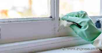 Mould 'will return' with natural cleaning remedies but 1 solution stops it for good