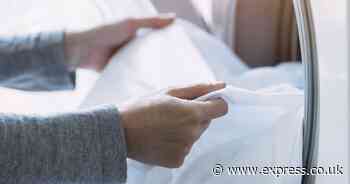 'Best temperature' to wash bedding 'properly' or risk dust mites - not 60C