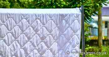 Whiten bed sheets and get them clean again with 3 natural items - not bleach or vinegar