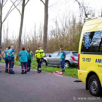 Automobilist overleden na botsing tegen boom