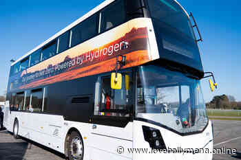 Wrightbus hydrogen bus trial could lead to zero emissions travel for Sizewell C workers