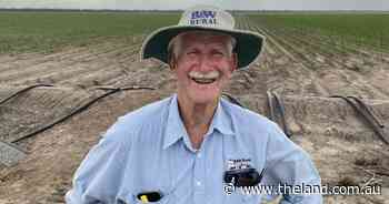 Widespread rainfall boosts forage oats' prospects across northwest NSW