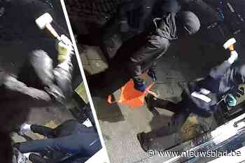 Trio steelt 32 toestellen uit telefoonwinkel in Neerpelt: “Ruim 25.000 euro schade”