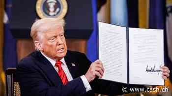 Medienerichte: Trump wird wohl zunächst keine branchenspezifischen Zölle erheben
