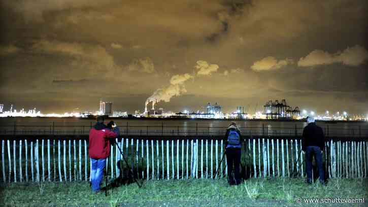 Sluiting LyondellBasell: tankvervoer verliest 240.000 ton benzeen en styreen