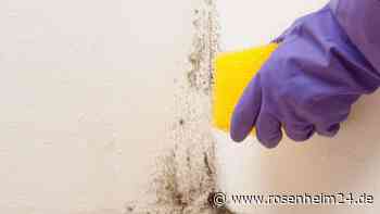 Fotoalben und Plattensammlung im Keller verschimmelt: Der Vermieter lächelt nur, wer haftet?