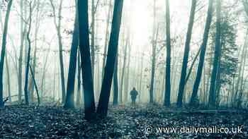 America's cursed 'Bermuda Triangle', where locals warn of Bigfoot, UFOs and the color you can never wear