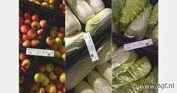 "Grootste groeipotentieel in bio groenteteelt"