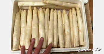 "Eerste bestellingen vanuit Duitsland voor witte asperges lopen al binnen"