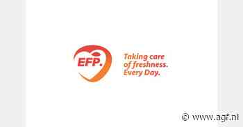 Uitblijven betaling miljoenenbedrag uit Qatar bracht EFP International in liquiditeitsproblemen