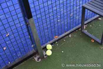 Opendeurdag in TC Bosterhout met tennis- en padelinitiaties voor alle leeftijden