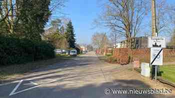 Tongerlonaren denken mee over verkeer in Wimpstraat en omgeving