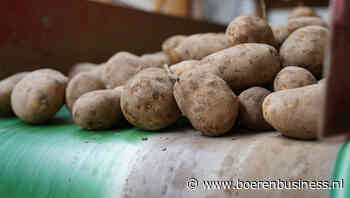 Bodem is bereikt in DCA EU-4 Potato Index