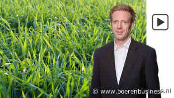 Tarwemarkt is niet voor één gat te vangen