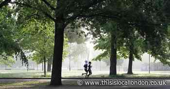 The results from 385 runners at this weekend's Bexley parkrun