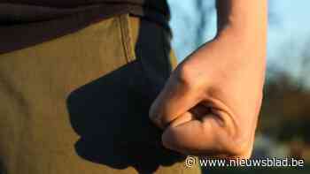 Twintiger veroordeeld voor reeks gewelddadige feiten in Turnhout en Geel