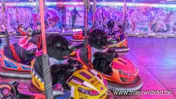 Grote Jaarmarkt zorgt voor aangepaste verkeersmaatregelen van 25 maart tot en met 2 april